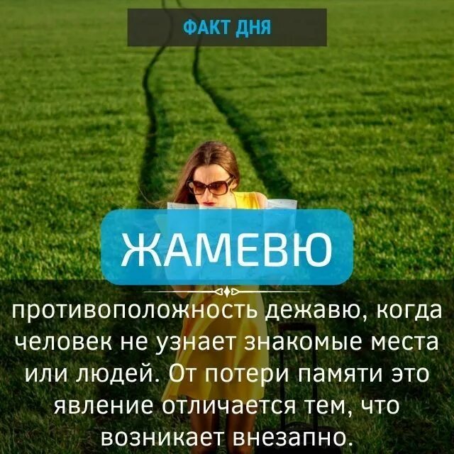 Жамевю это. Дежавю и Жамевю и прескевю. Эффект Жамевю. Состояние Дежавю и Жамевю. Противоположность Дежавю.