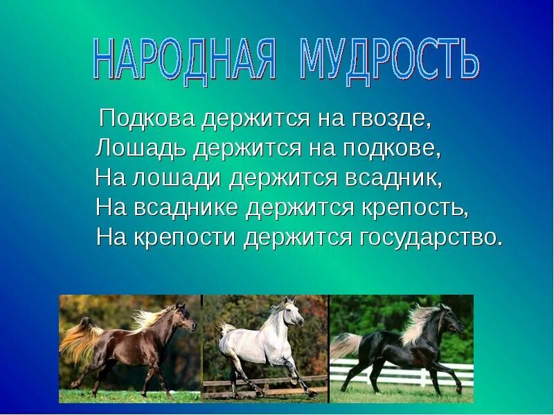 Лошади сообщение 3 класс окружающий. План сообщения о лошади. Сообщение о лошади. Доклад про лошадь. Интересные сведения о лошадях.