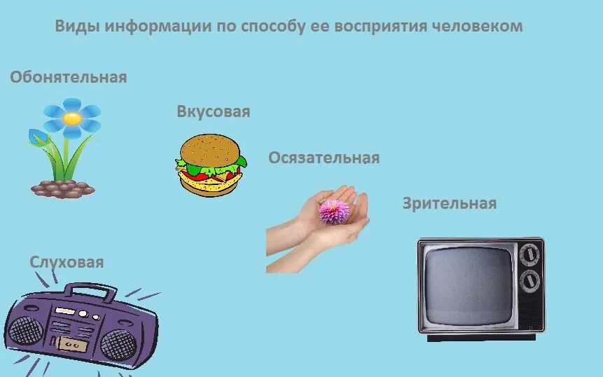 Графическая информация источники информации - найдено 88 картинок