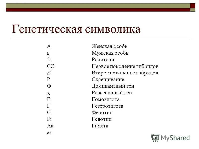 Символы генетики 10 класс