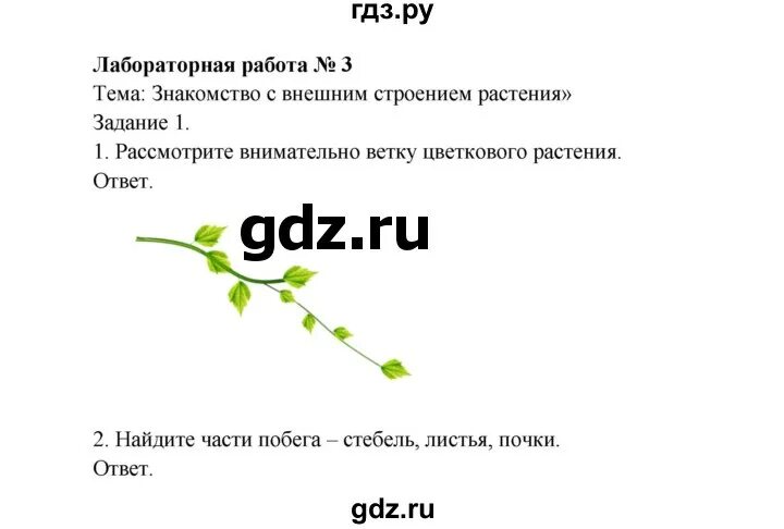 Биология практическое задание 5. Лабораторная работа 3 по биологии 5 класс. Лабораторная работа биология 5 класс растения. Лабораторная работа 5 биология 9 класс пономарева