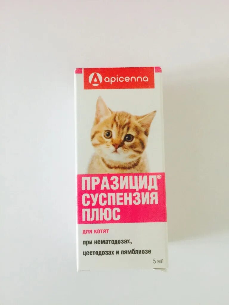 Глистогонное для кошек купить. Глистогонное средство для котят Празицид. Празицид суспензия для котят. Глистогонные препараты для котят 2 месяца. Глистогонная суспензия для котят.
