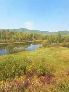 Чита хилок