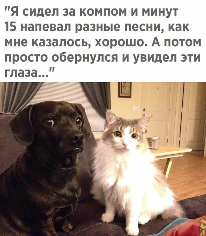 Картинке с их подписями