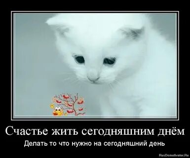 Хороший принцип живи сегодняшним днем