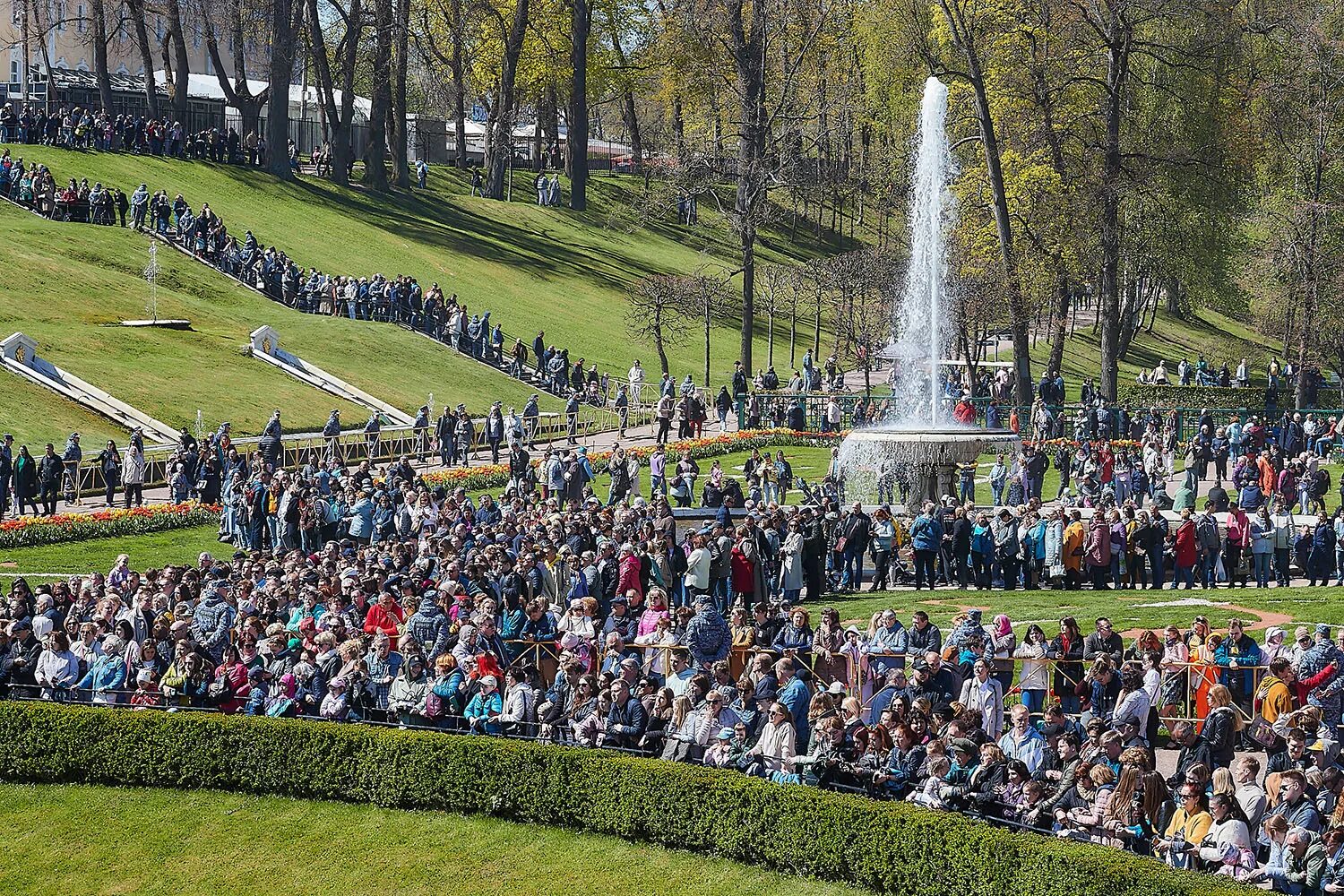 Праздник фонтанов в петергофе. Петергоф фонтаны 2022. Петергоф вечером. Праздник закрытия фонтанов в петергофе 2022 года. Новый петергоф праздник.