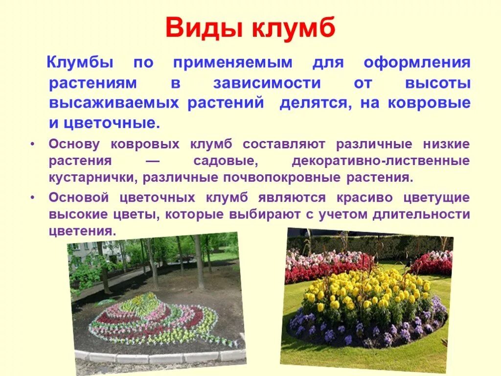 Урок растения города декоративное цветоводство. Проект клумбы. Клумбы разных форм. Проект на тему клумба. Формы для клумб и цветников.