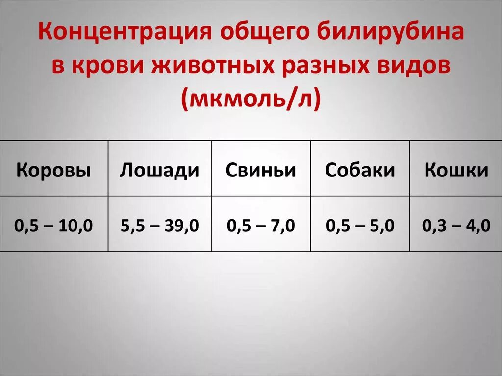 Повышен билирубин прямой в крови у мужчины. Содержание билирубина в крови норма. Нормальные показатели билирубина крови. Норма прямого и общего билирубина в крови. Содержание билирубина в норме.