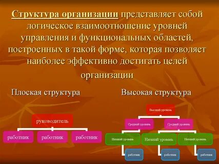 Функциональная форма представляет собой