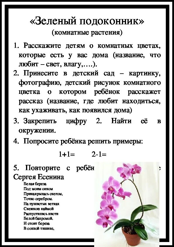 Лексические задания по теме " комнатные растения". Лексическая тема комнатные растения задания для родителей. Домашние задания логопеда по теме комнатные растения. Лексическая тема комнатные цветы старшая группа. Задания по лексической теме комнатные растения в старшей группе.