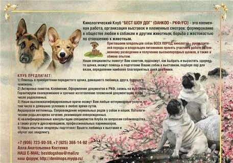 Актировка щенков