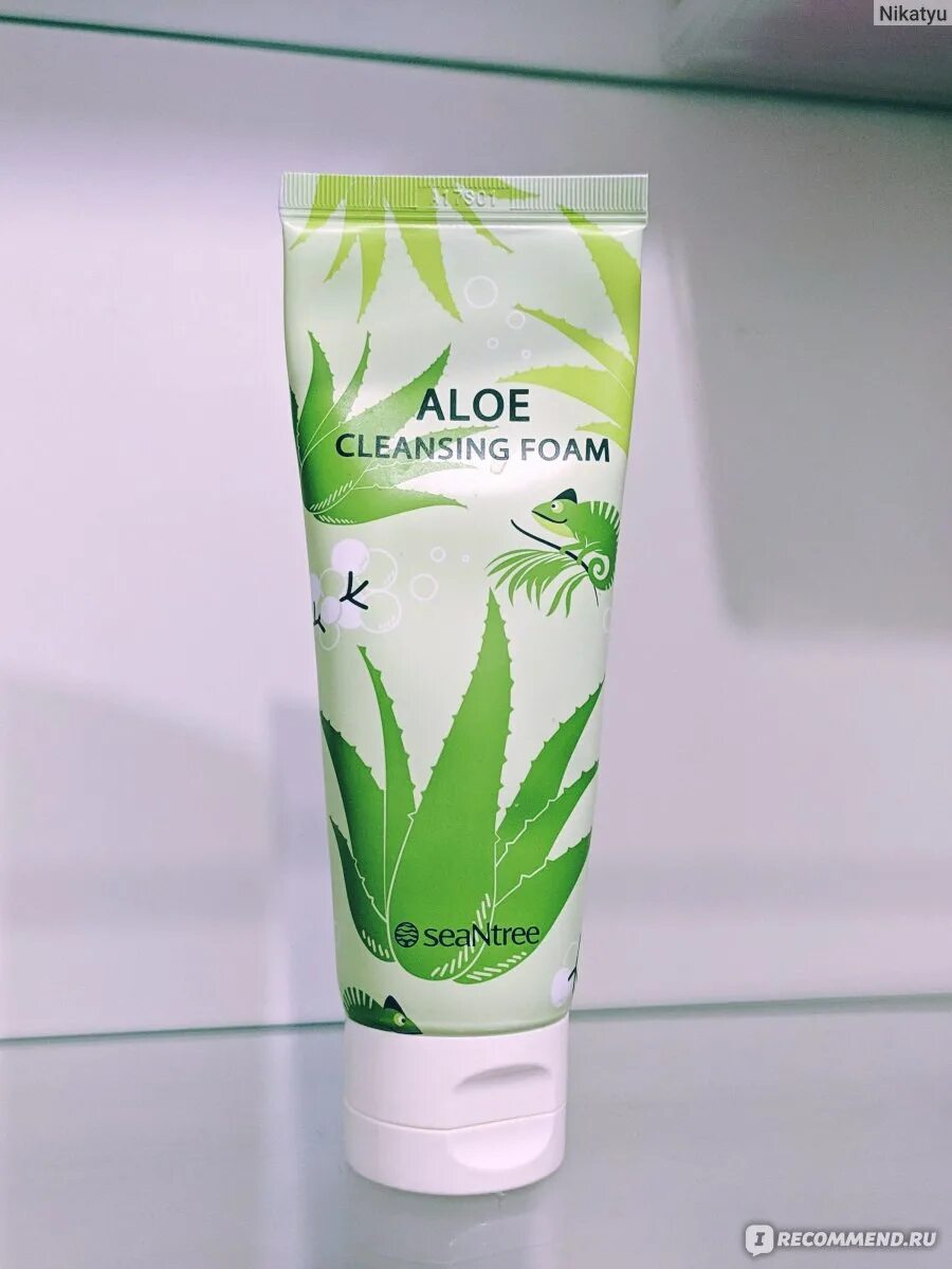 Пенка для умывания SEANTREE С экстрактом алоэ. Cleansing Foam пенка. Aloe пенка для умывания. Anjo Foam Cleansing Aloe 100g. Aloe cleanser