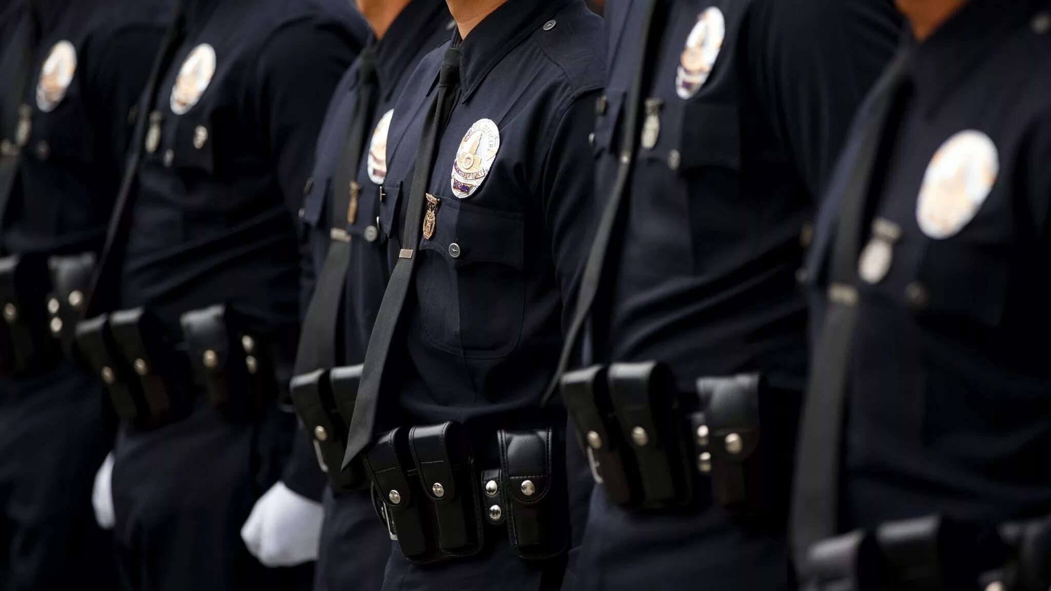 Полицейский Департамент Лос Анджелеса. Полицейская Академия ЛАПД. Полиция Лос Анджелес Академия. Академия полиции США Лос Анджелес. Правоохранительные органы мошенничество