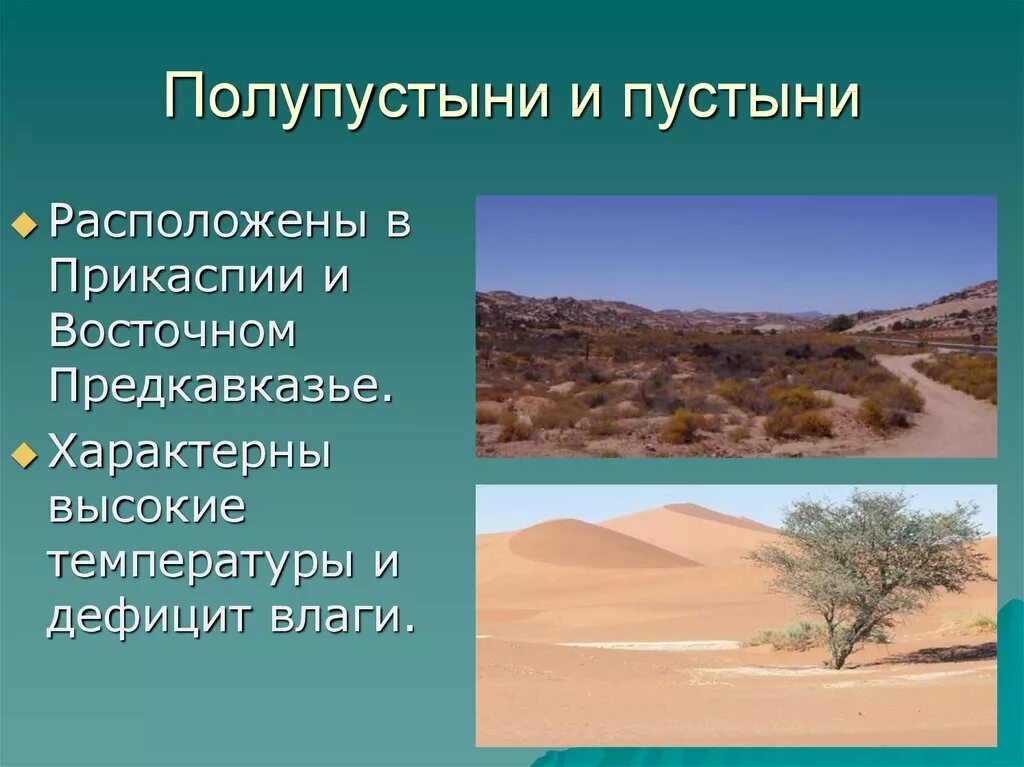 Зона полупустынь в России климат. Пустыни и полупустыни климат. Климат зоны полупустыни и пустыни России. Природные зоны пустыни и полупустыни.