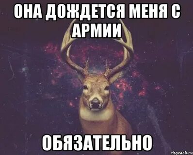 Январь дождись меня