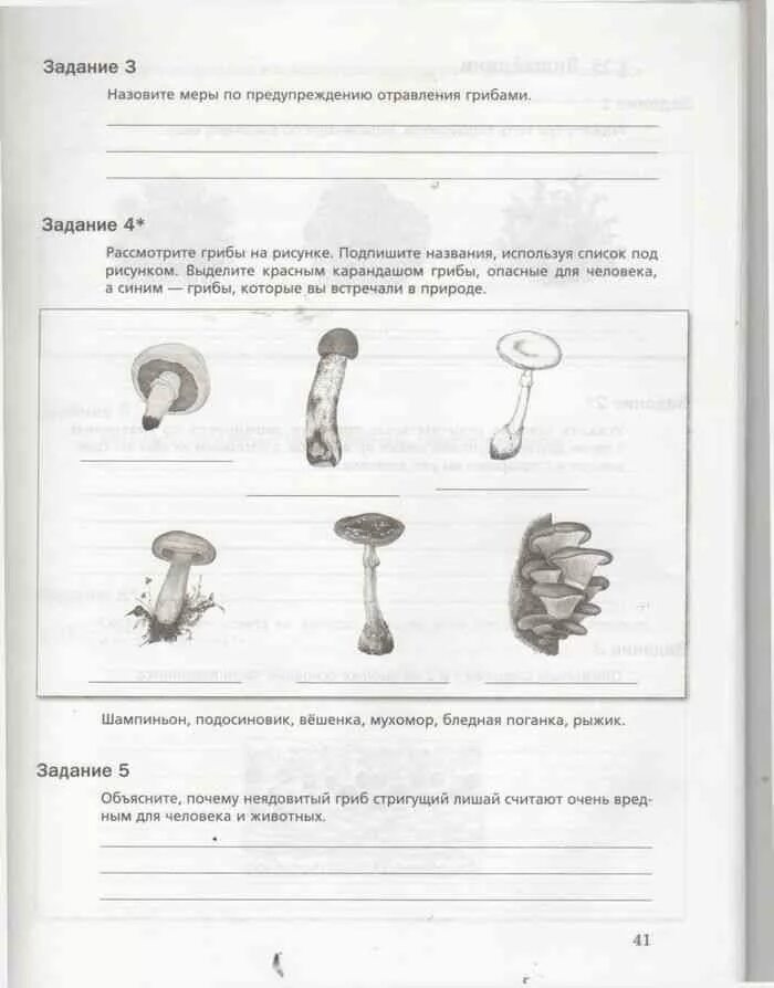 Рабочая тетрадь биология 5 класс Корнилова рабочая. Рабочая тетрадь биология 5 класс биология. Рабочая тетрадь по биологии 5 класс Пономарева. 5 Рабочая тетрадь по биологии грибы Пономарева.