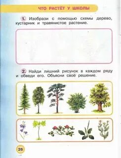 Окружающий мир 1 класс готовые задания