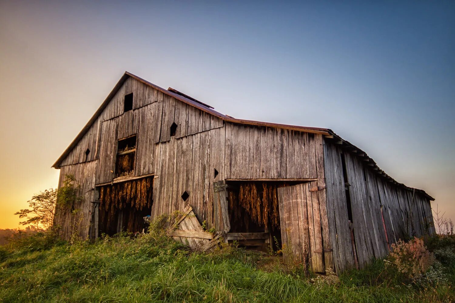 The old barn бар дзержинский. Полуразрушенный сарай обугленный. Обои на рабочий стол 1920х1080 barn. Темный амбар ферма. Угрешская 15а паб.