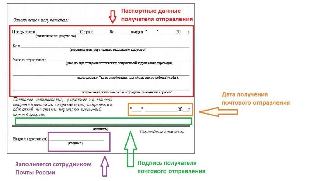 В данных заявка паспортных