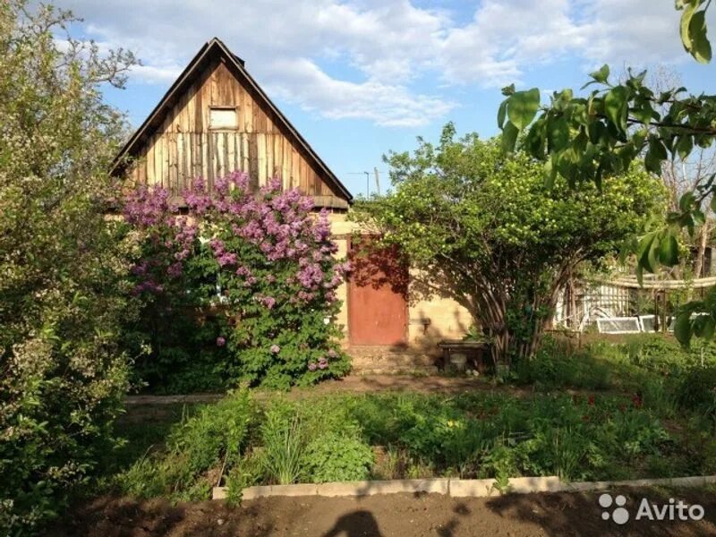Ботанический сад огу оренбург. Парки и скверы оренбурга. Парк им цвиллинга оренбург. Оренбург садовая. Парк фрунзе оренбург.