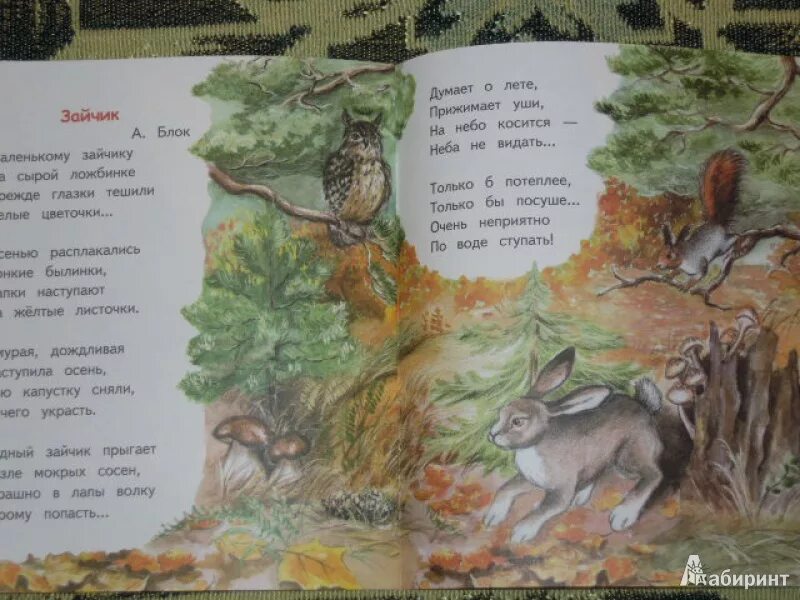 Блок зайчик книга. Блок зайчик стихотворение. чтение стихотворения а. блока «зайчик».. блок зайчик читать.