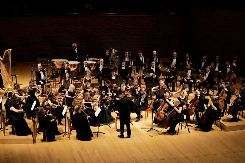 музыкальный театр шаляпина. музыкальный театр шаляпина. музыкальный театр шаляпина. зеркало шаляпина театр. театр выступление.