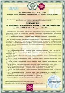 Оформление сэс
