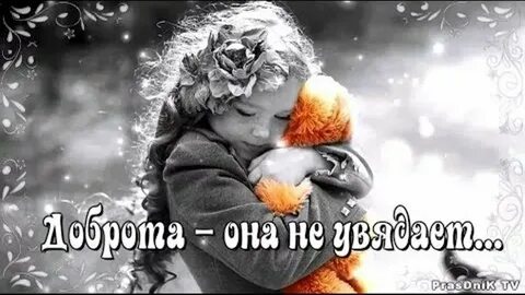 Видео просто добро