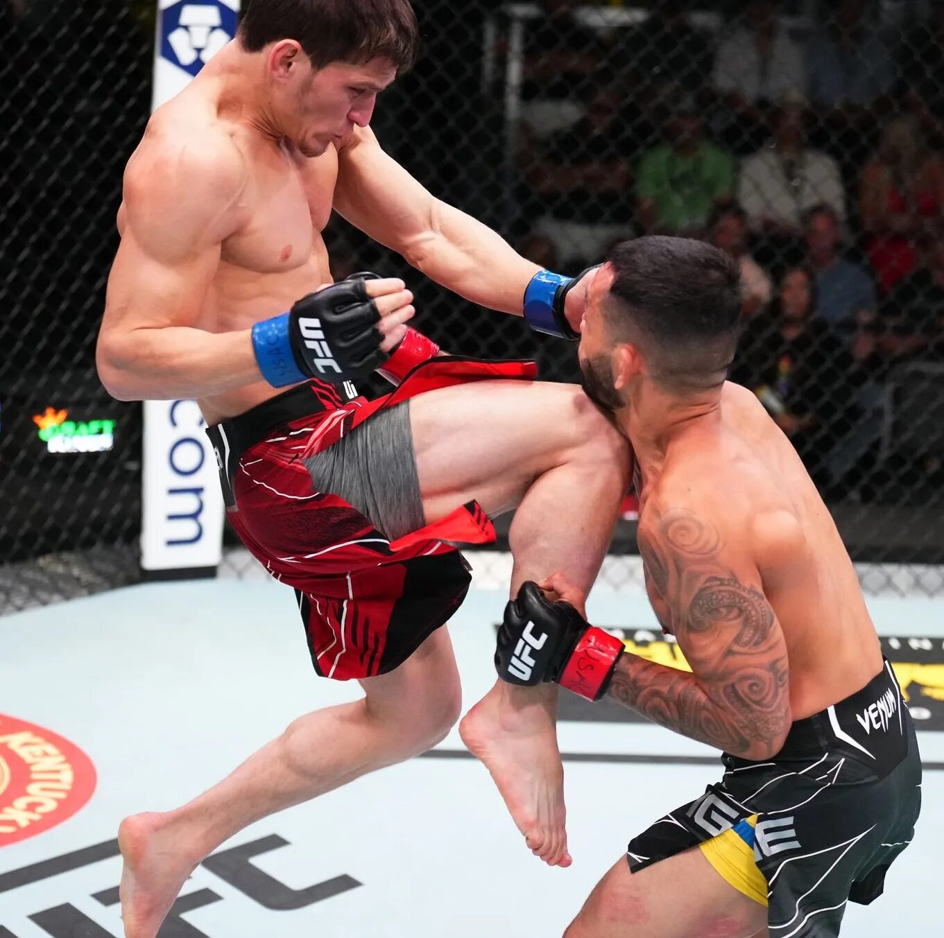 Сергей павлович деррик льюис. Бои файт. Владимир шишкин боксер. Владимир шишкин боксер с женой. Бои файт.