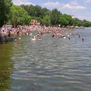 Бежит пруду