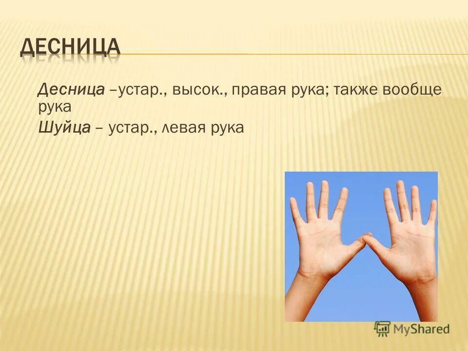 левая рука перевод. название пальцев на руке по английски. что считается ладонью. пальцы рук название каждого. отпечаток большого пальца правой руки.
