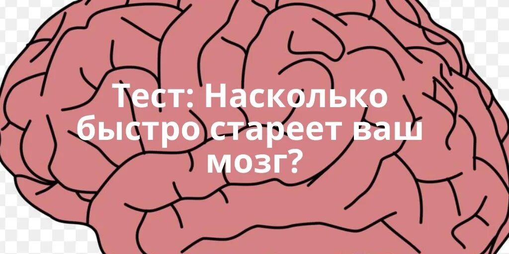 Японский тест на мозг. Стареющий мозг иллюстрация. Тэст на старение мозга. Тест насколько быстро стареет ваш мозг. Японский тест на старение мозга.