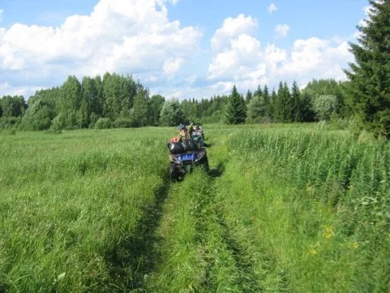 Погода в больших кустах куединского. Пермский край Куединский район деревня Китрюм. Китрюм Куединского района. Деревня Китрюм Куединский район. Деревня Петрушонки.