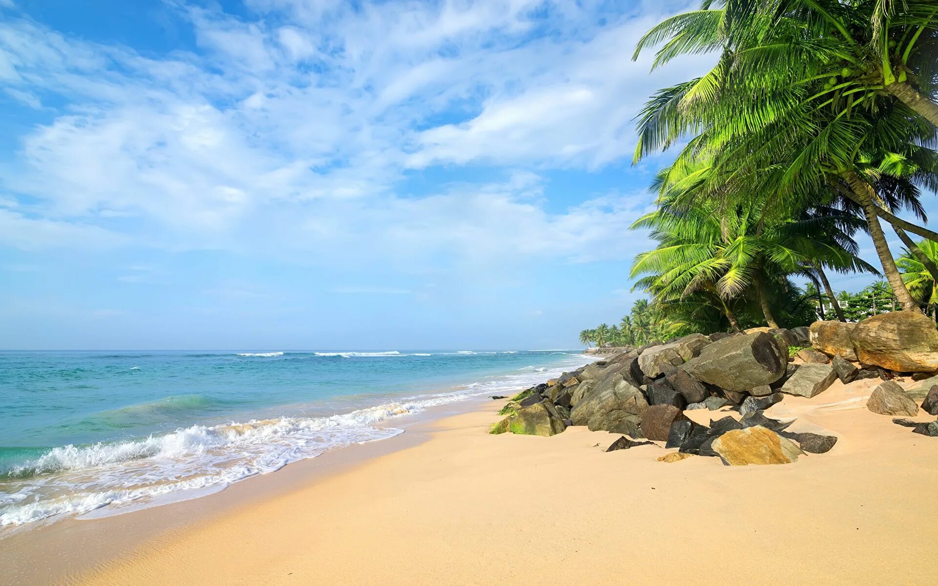 Шри Ланка море. Шри Ланка океан пальмы. Шри Ланка море пляж. Шри Ланка пляж пальмы.