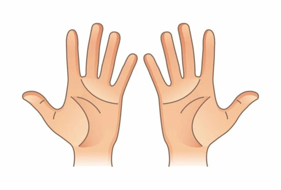 Маленькая рука. Рука слева. Рука на прозрачном фоне. Рука на прозрачном фоне. Вытянутая мужская рука.