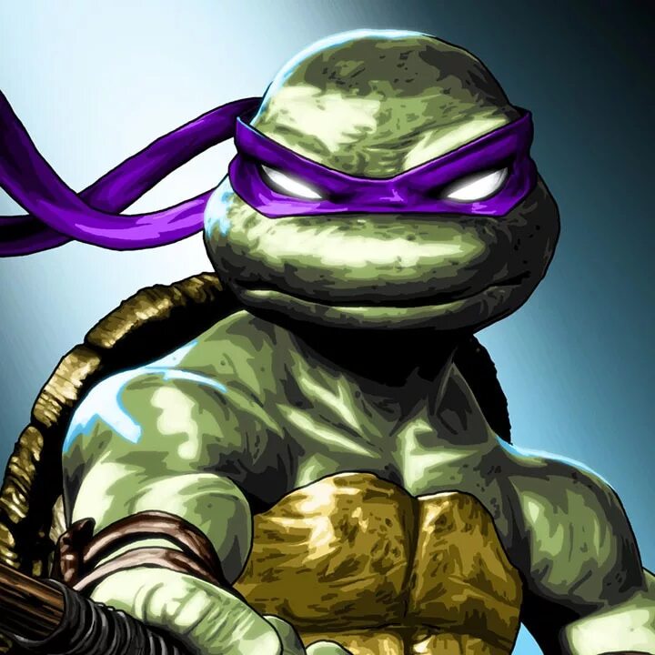 Донателло TMNT. TMNT 2007 Донателло. Черепашки ниндзя 2003 Донателло. Донателло из черепашек ниндзя 2.