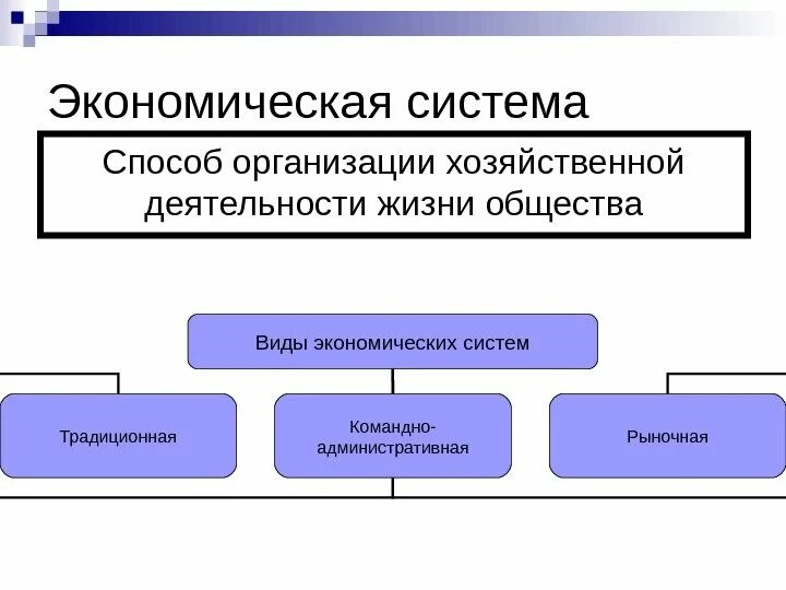 Способ организации хозяйственной жизни общества