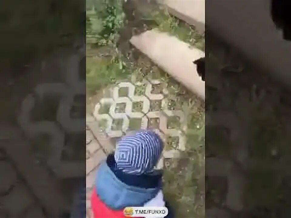 Спроси как у кошечки дела видео. Видео как у кошечки дела она. Видео как у кошечки дела она. Видео как у кошечки дела она. Видео как у кошечки дела она.