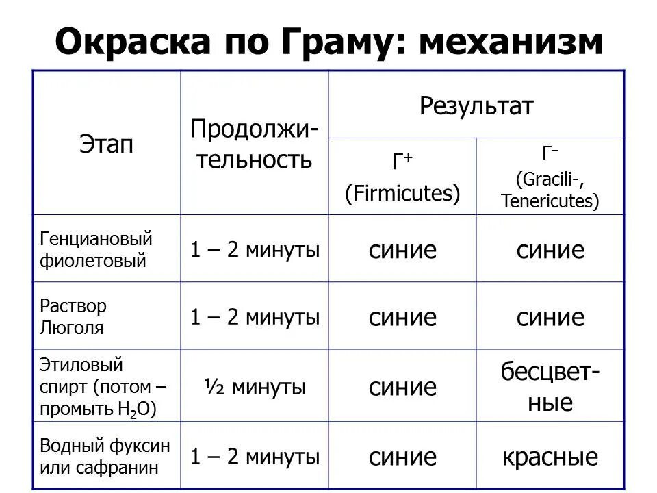 П грам. Грам окраска. механизм окраски по граму. окраска по граму таблица. этапы окраски по граму.