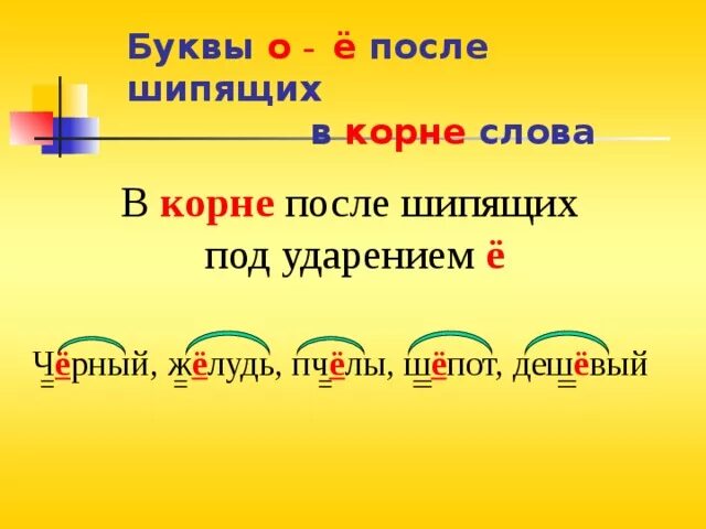 Буква ё после шипящих в корне примеры. Слова с Буквое е в корне. Слова с буквой е в корне. Буквы о ё после шипящих в корне слова.