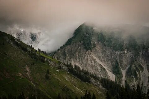 Высокие горы в тумане