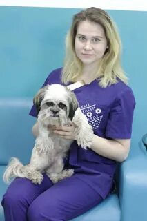 Ветеринар санкт петербург