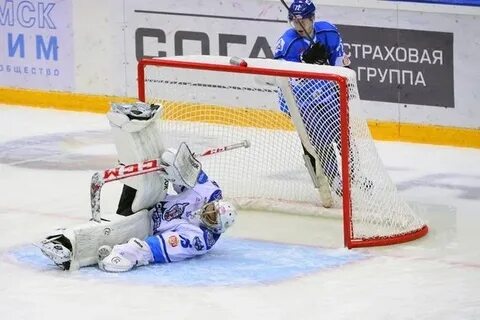 Реактор снежные барсы