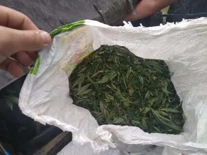 Трава кг