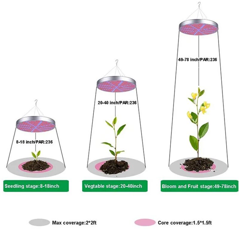 Высота лампы до рассады. Расстояние от лампы до рассады. Высота лампы для растений. Высота установки фитолампы. Расстояние от лампы до рассады.