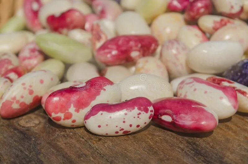 Lima beans. Фасоль лимская мраморная. фасоль лимская рождественская. фасоль лимская семена. фасоль лимская рождественская (christmas lima.