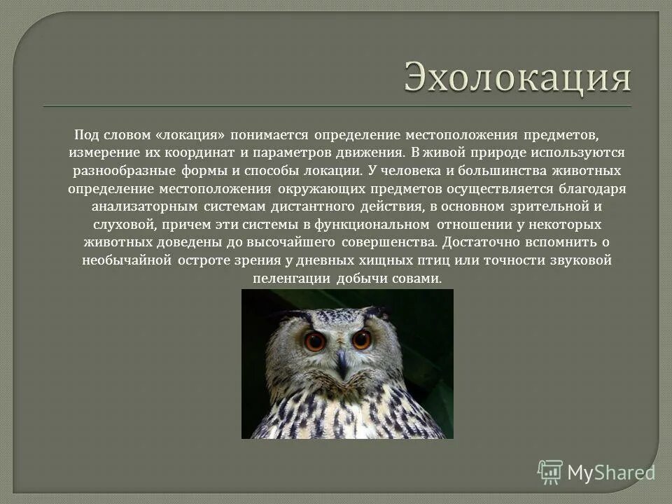 Под измерением понимается. Под измерением понимается
