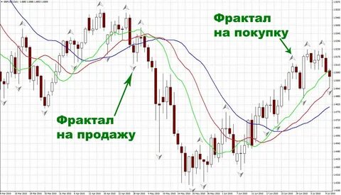 Индикатор правило