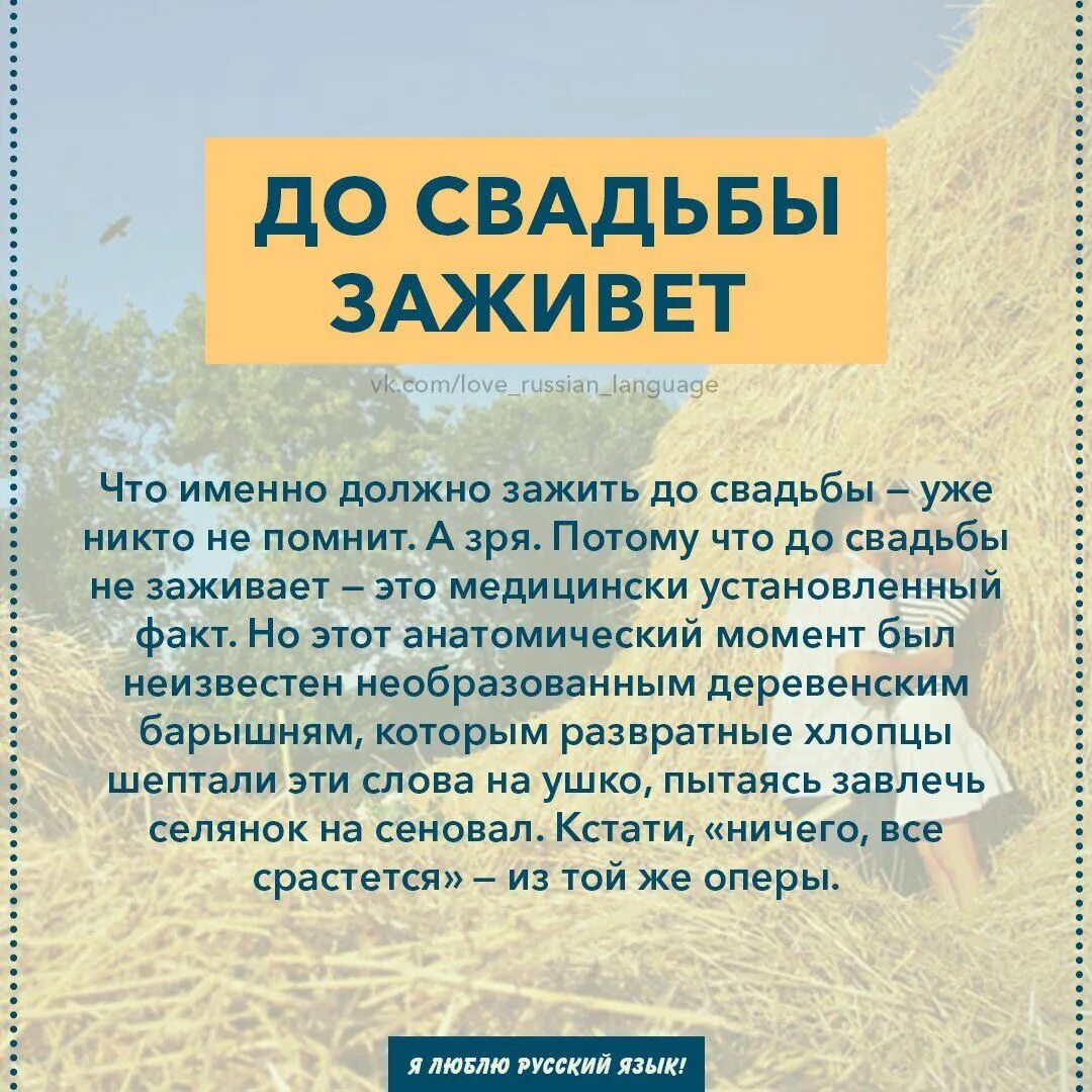 До свадьбы заживет откуда. Поговорка до свадьбы заживет. до свадьбы заживет значение фразеологизма. до свадьбы заживет рисунок. крылатые выражения про свадьбу.