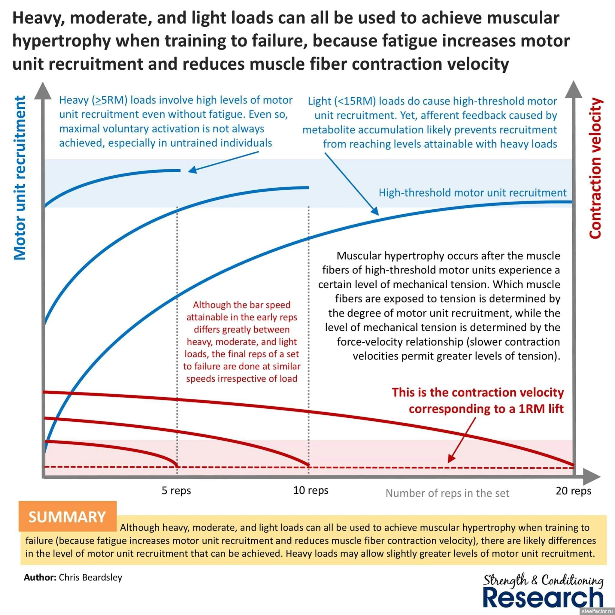 Heavy load программа. Velocity–dependent increased muscle Tone. Muscle load. Muscle fatigue Experiment.